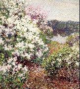 Mountain Laurel Metcalf, Willard Leroy